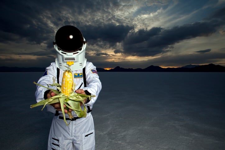 Dutch ingredient supplier celebrates ‘giant leap’ as food industry’s first representative in space