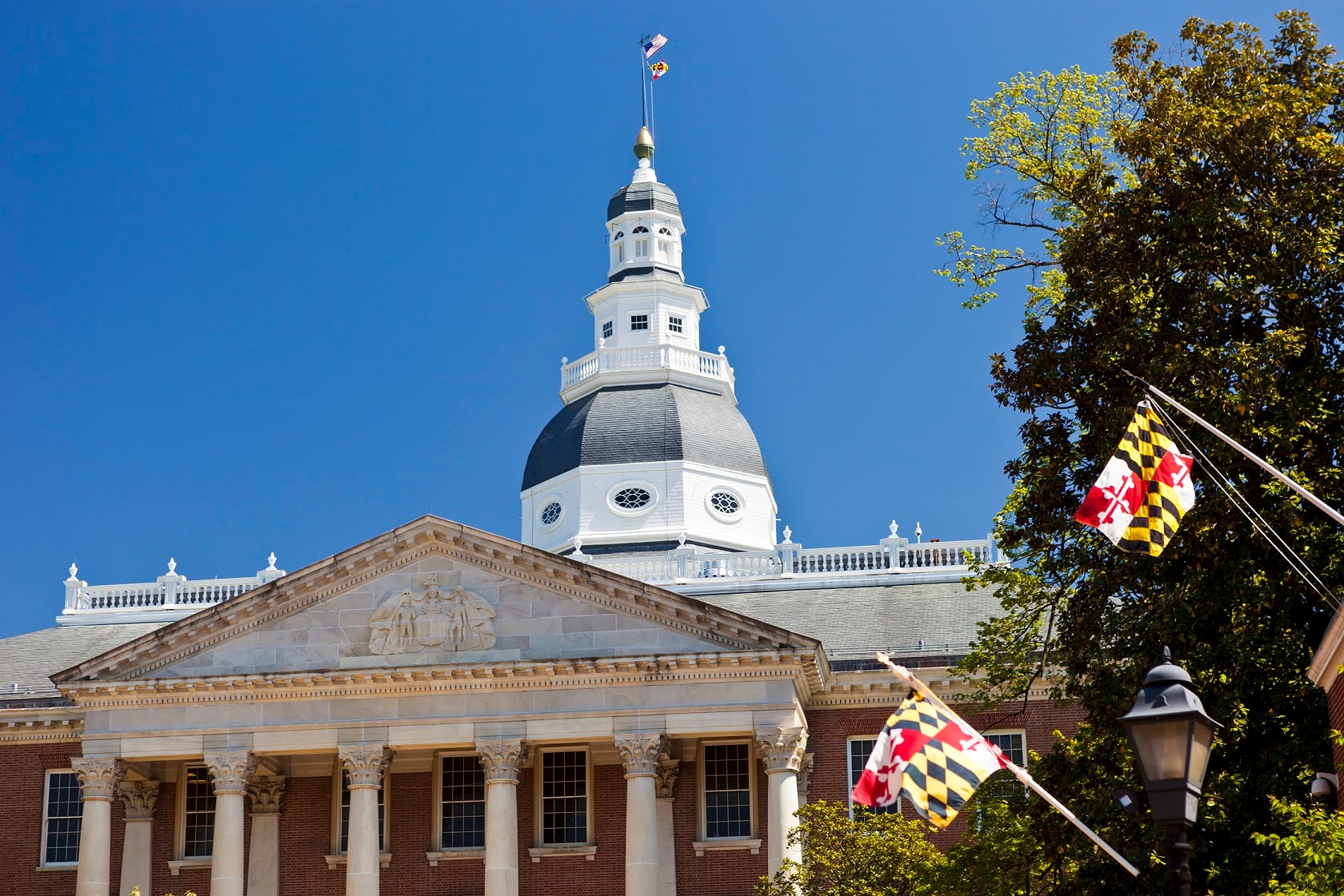 Trades testify in Maryland against state bill to restrict supplement access