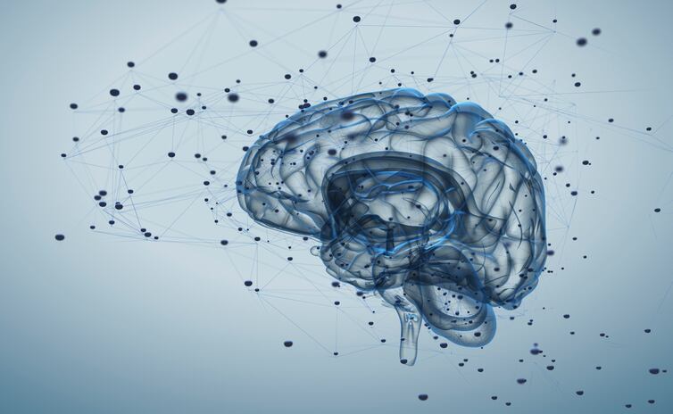 BCAAs-may-reduce-risk-of-anxiety-and-depression-says-study.jpg