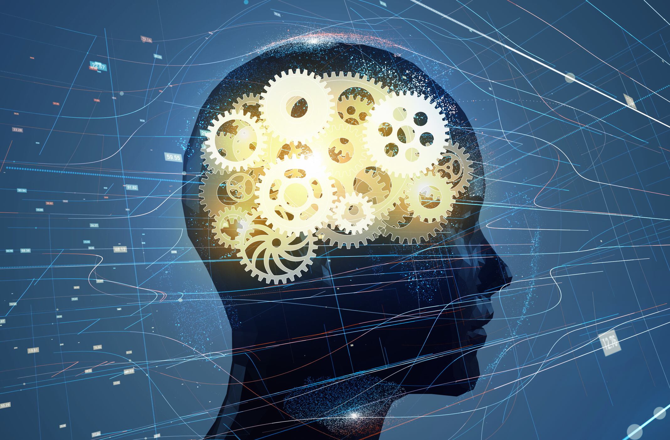 Resveratrol improves cognitive performance in menopausal women: Study 