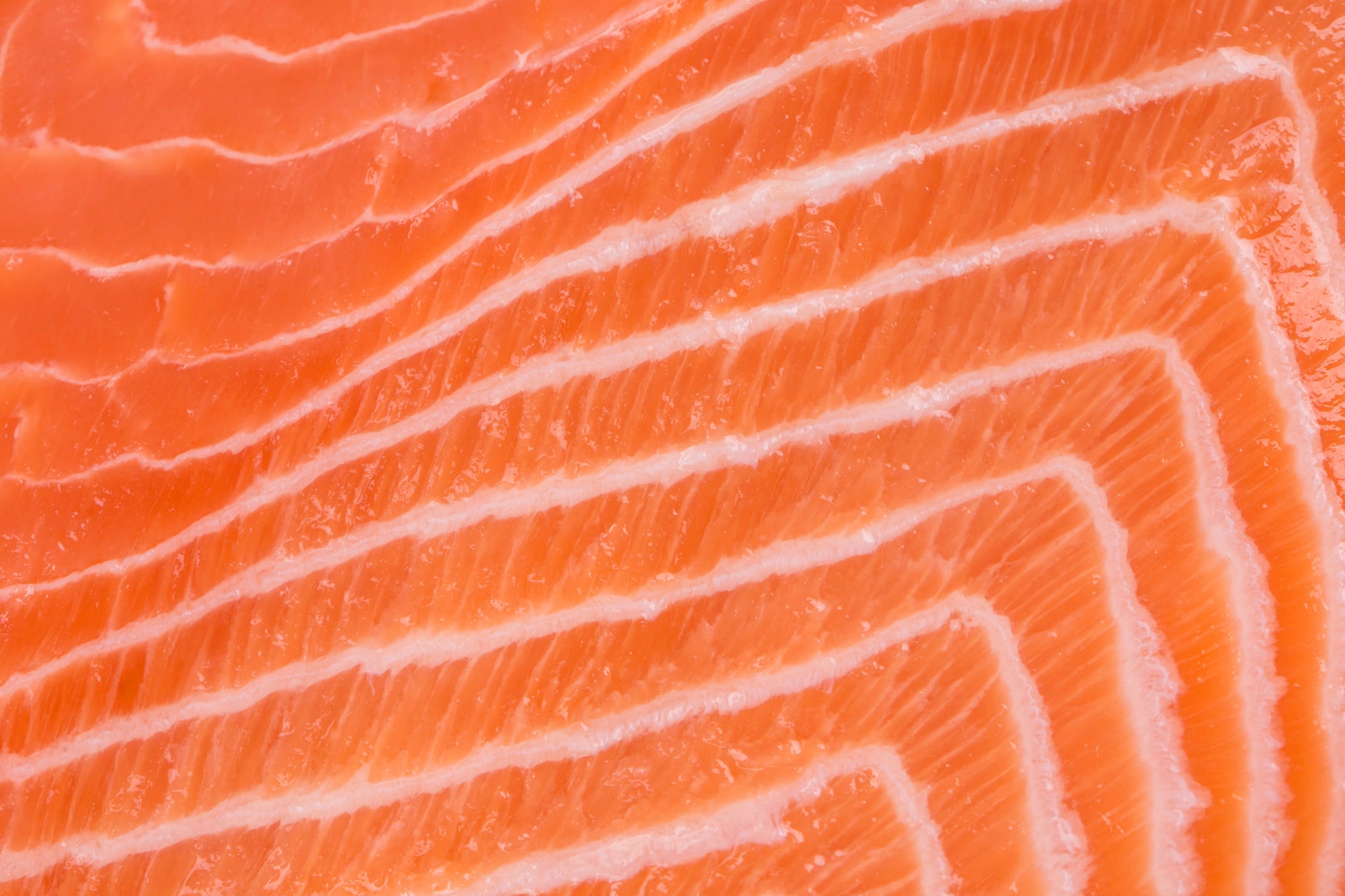 Close-up of salmon fillet. Whole background. it occupies the entire surface of the image.