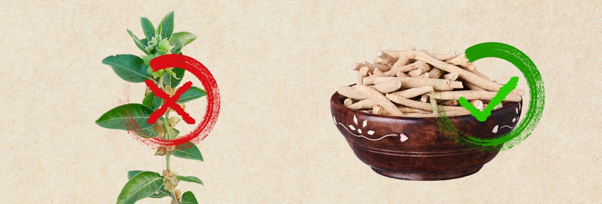 Ashwagandha leaf ban