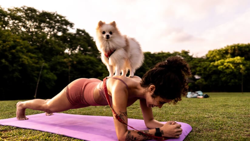 79% of pet owners researched a specific ingredient in the prior 12 months.