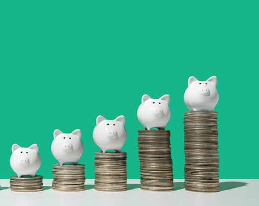 Natural-Alternatives-sees-sales-rise-but-inflation-clouds-future.jpg