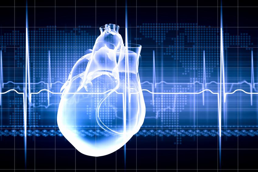 heart-cardiovascular-iStock.com-Sergej-Hakimullin.jpg
