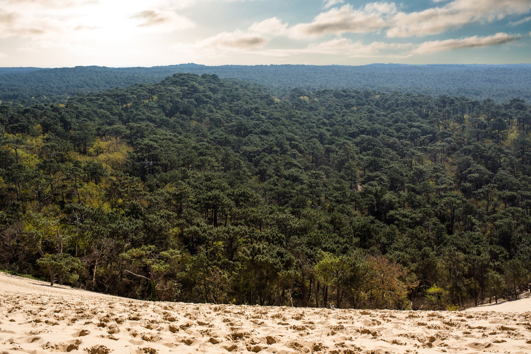 Driving growth through science: Behind the scenes at Horphag Research