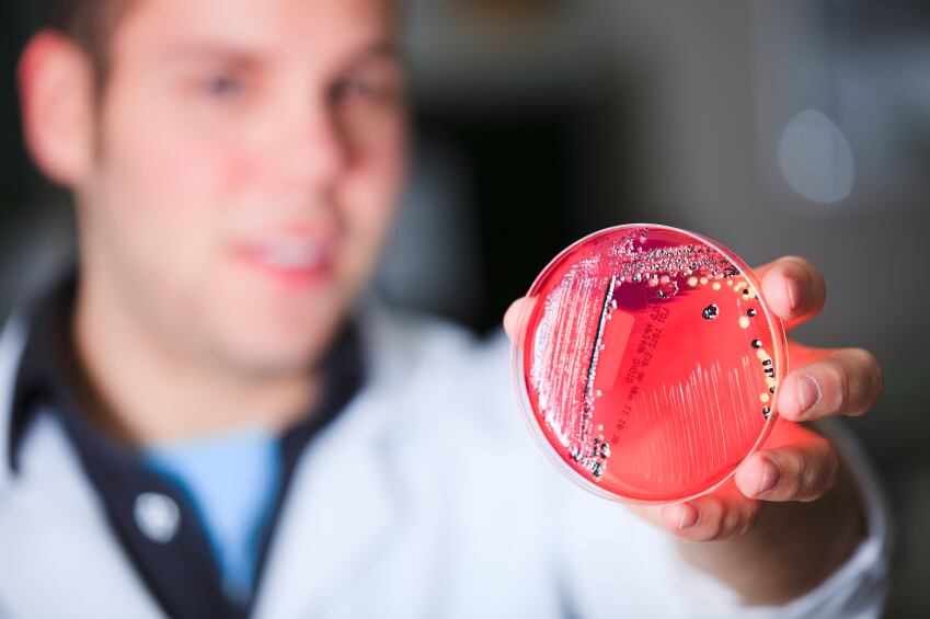 Carbiotix’s latest funding round point to closer ties between the gut and pharma 