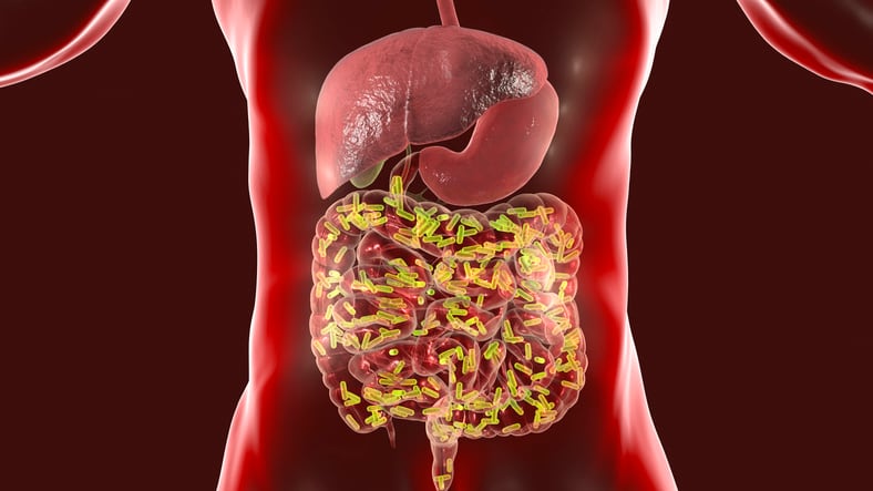 Sodium may modulate the gut microbiome, blood pressure: Study