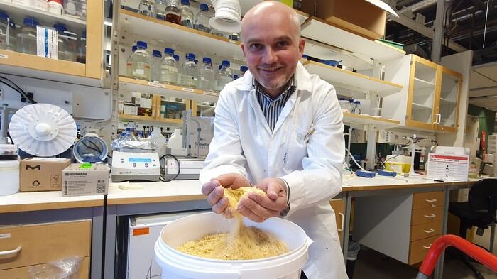 Scientists unveil new method that extracts antioxidant nutrients from corn processing waste