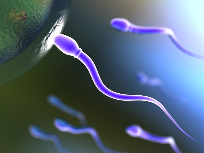 Antioxidant supplement improves sperm quality and pregnancy outcomes, research suggests