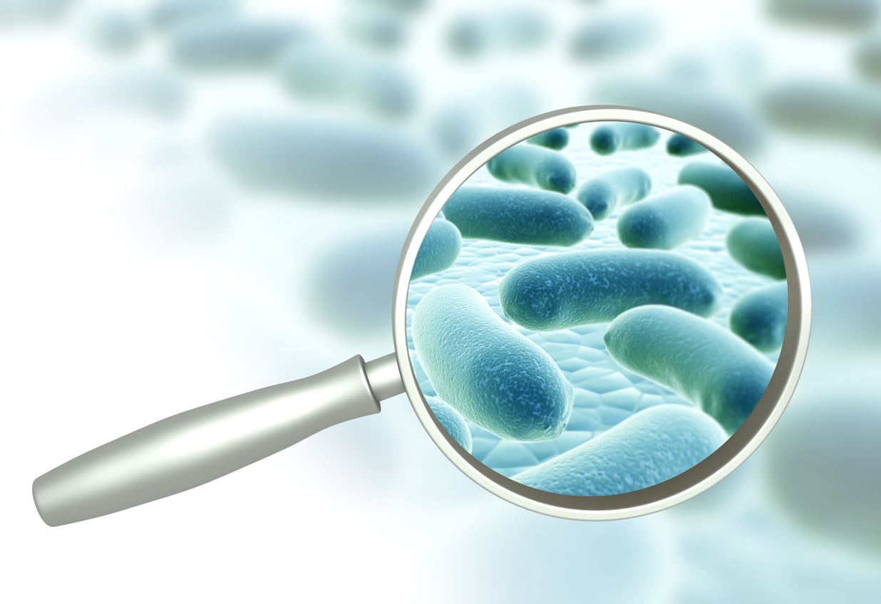 Delivery-systems-a-determining-factor-in-probiotic-success-suggests-Lumina-Intelligence.jpg