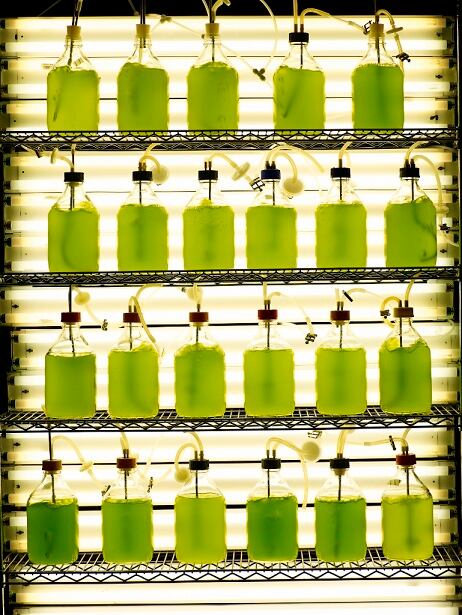 green-fuel.jpg