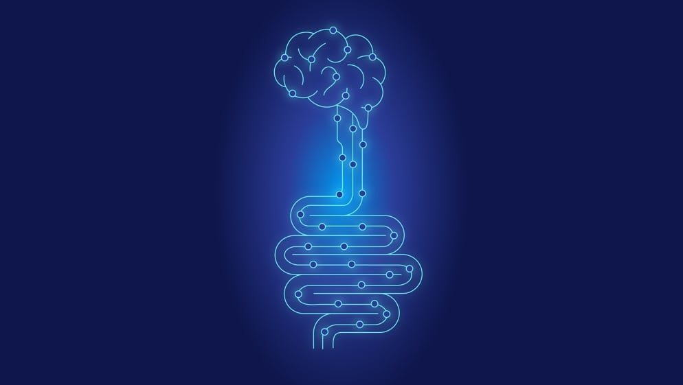 The microbiota-gut-brain axis is the bidirectional interaction between the GI tract and the nervous system