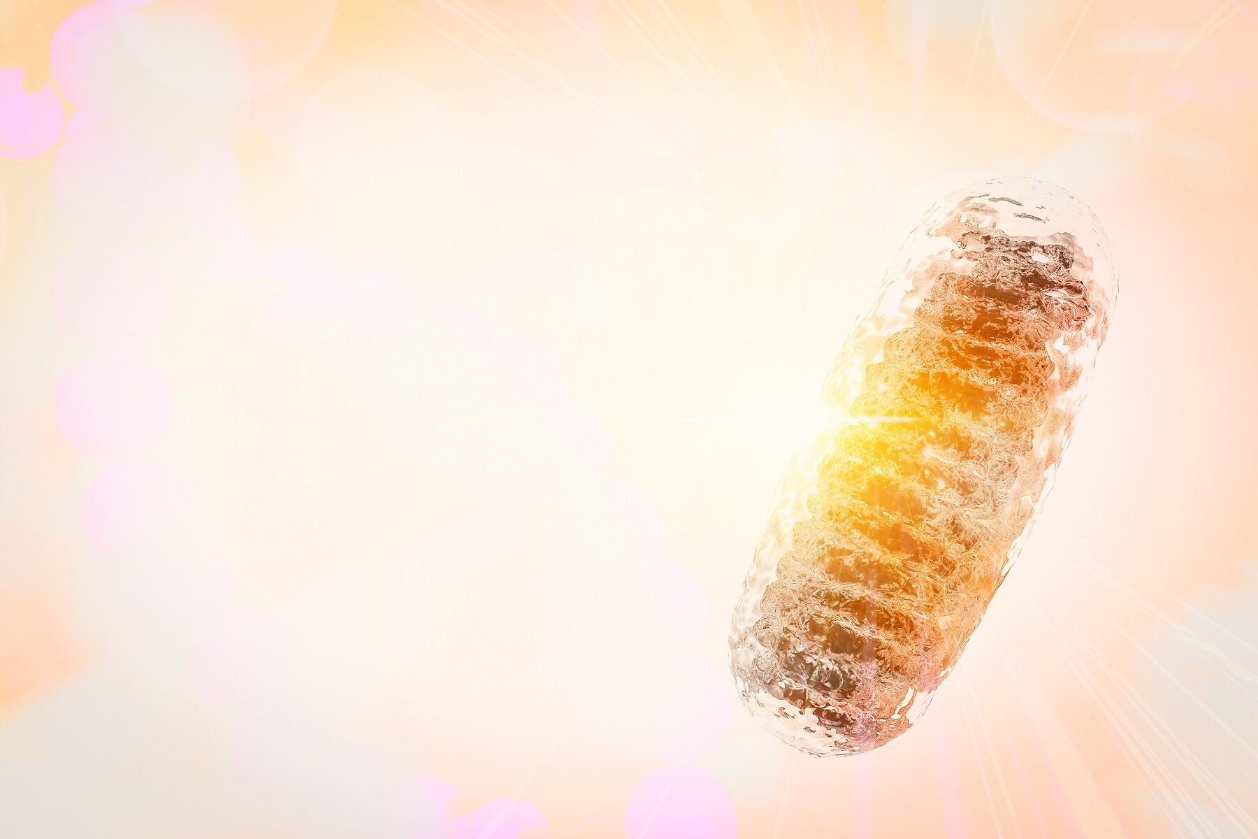 Nicotinamide-riboside-may-boost-muscle-mitochondrial-biogenesis.jpg