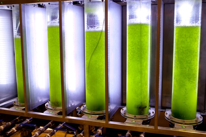  Fermentalg and ADL BioPharma reveal ‘manufacturing alliance’ for omega 3 supplements