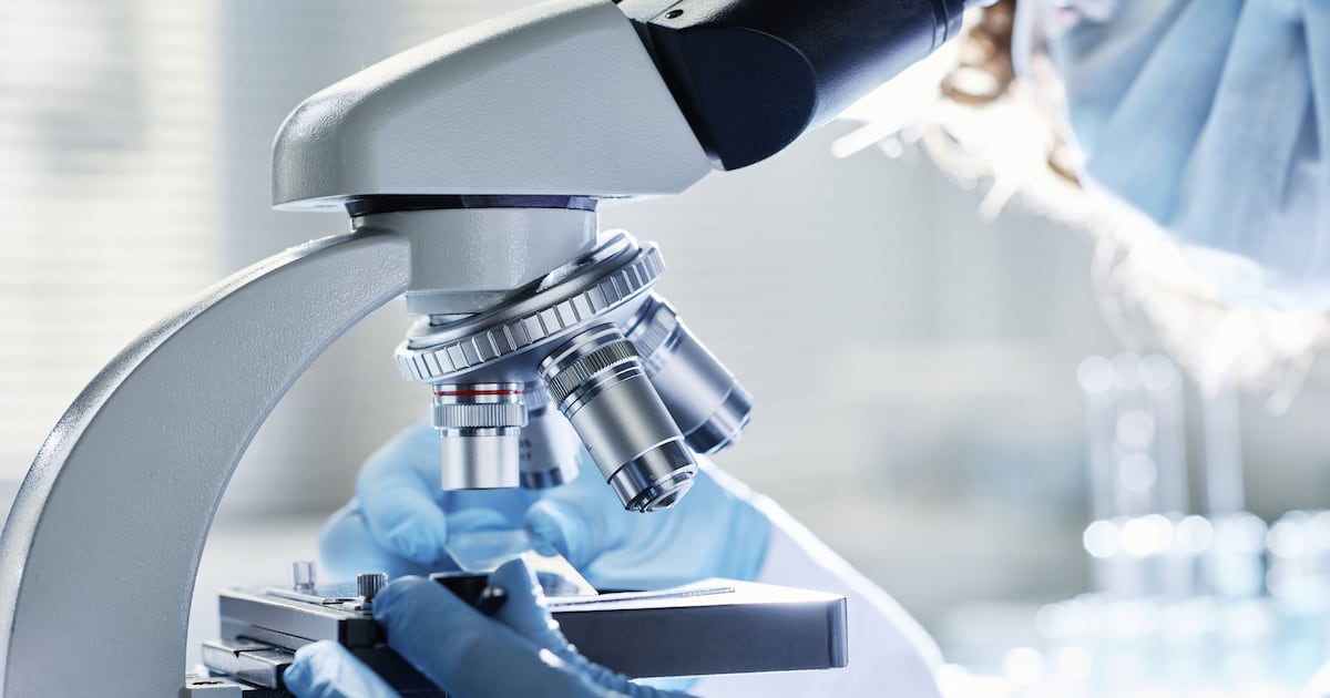 Substantial gaps in mushroom trials impact efficacy of product innovations, experts argue