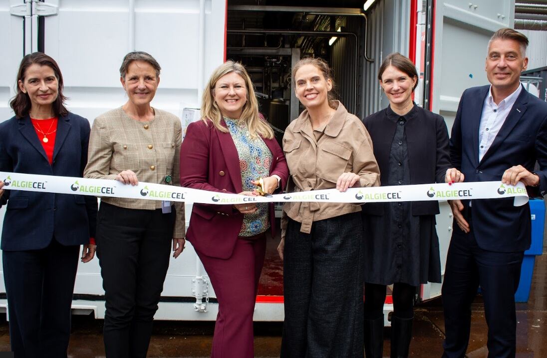 Algiecel ribbon cutting