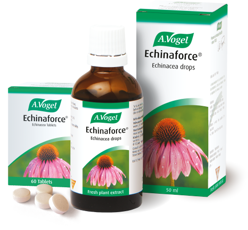 echinaforce.png