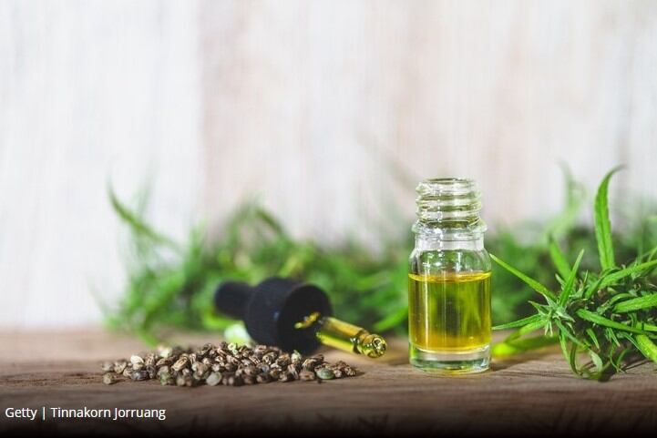 EU introduces trade harmonisation for hemp seed market