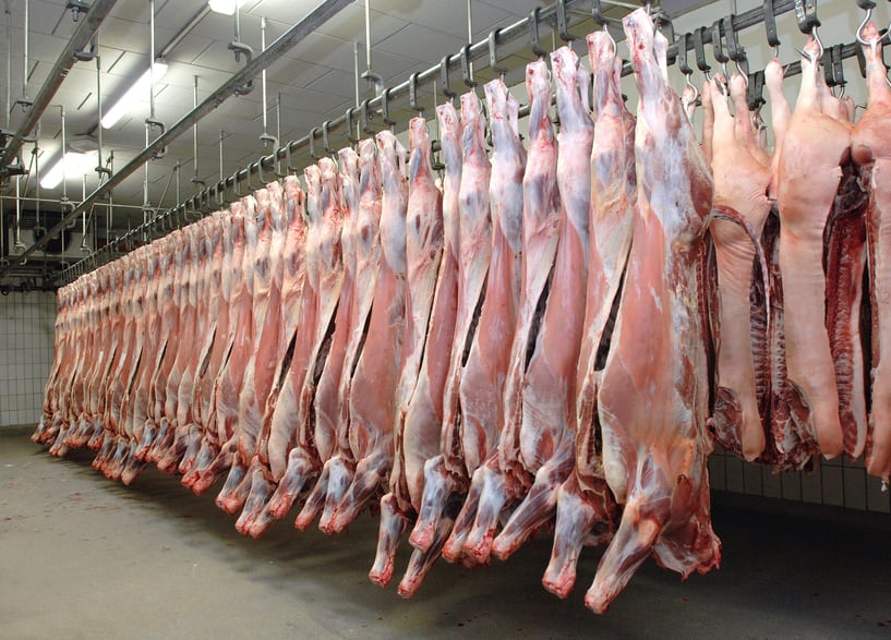 slaughterhouse-meat-animal-protein-iStock.com-frotog.jpg