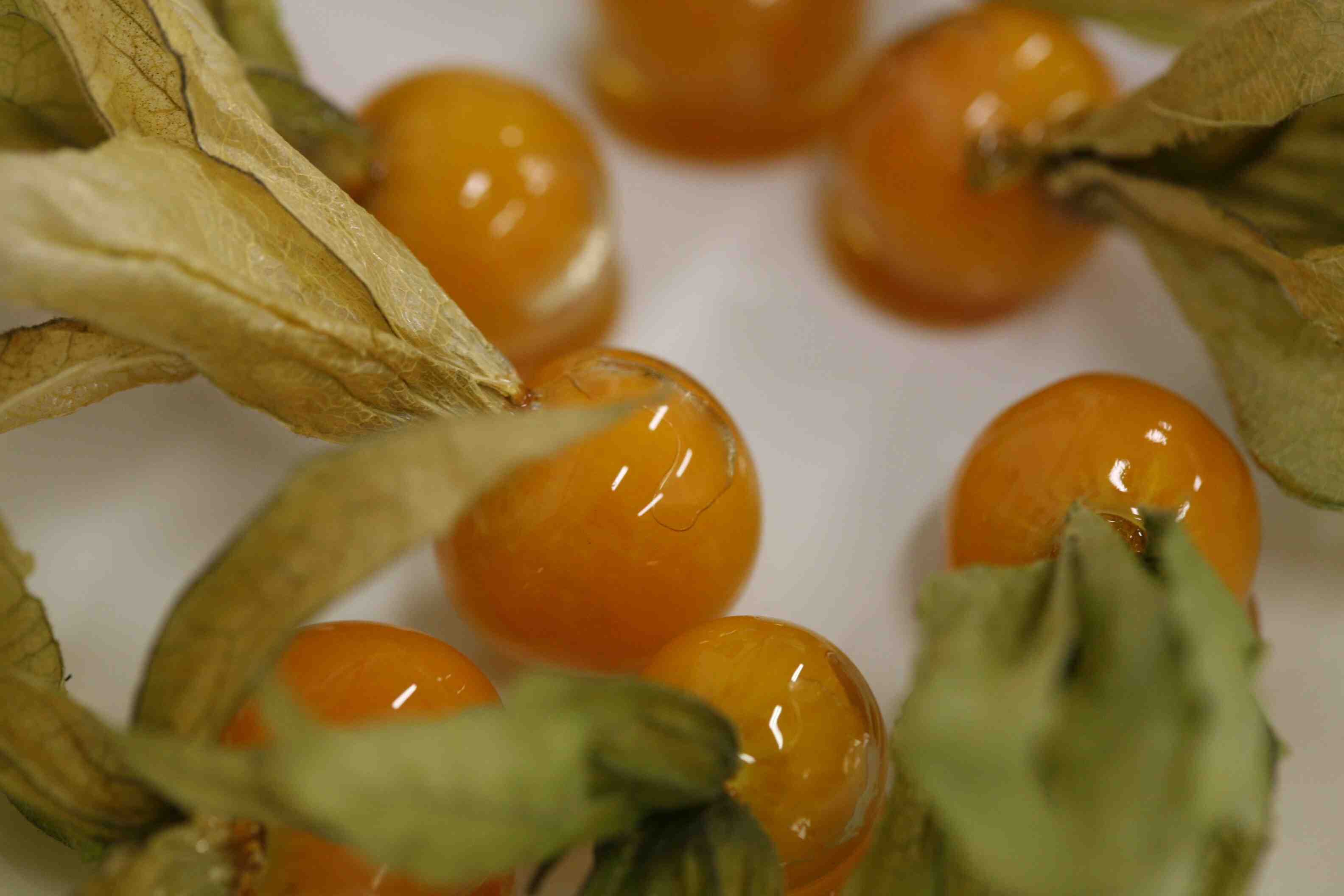 Cape-gooseberries1.jpg