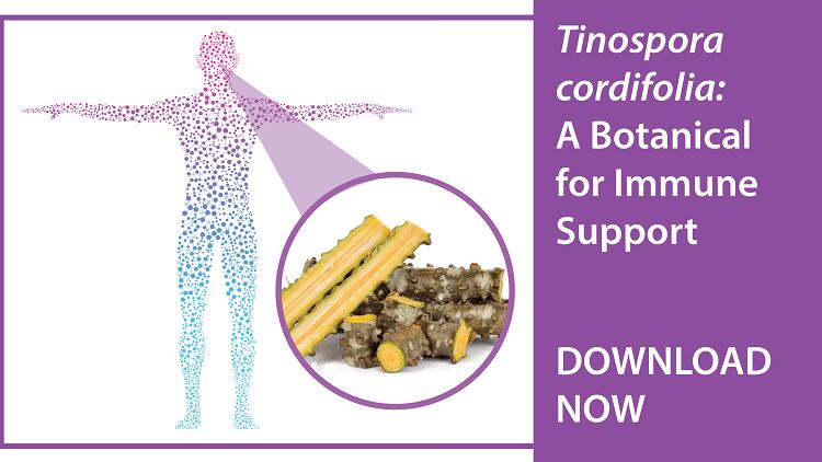 Tinospora-cordifolia-A-botanical-approach-to-immune-health.png