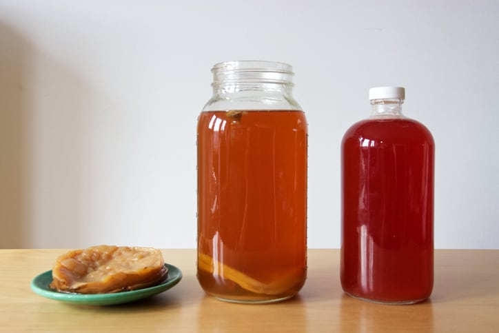 Study-kombucha-flattens-postprandial-glycemic-and-insulin-response.jpg