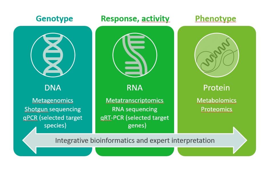integrative-bioinformatics.jpg