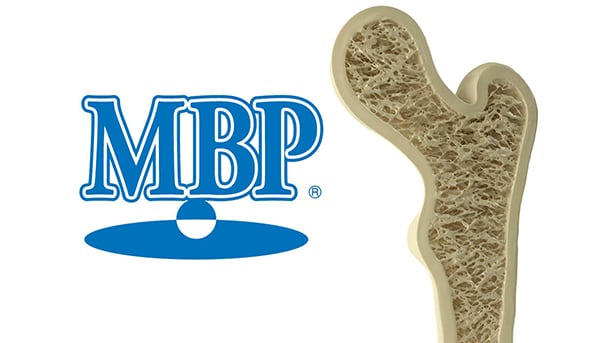 Maypro-WP-Food-2017-MBP-R-Intake-Improves-Bone-Density-and-Slows-Down-Bone-Breakdown.jpg
