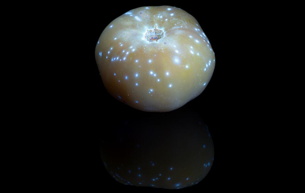Lycored’s golden tomato-based wellness extract good for skin, study finds