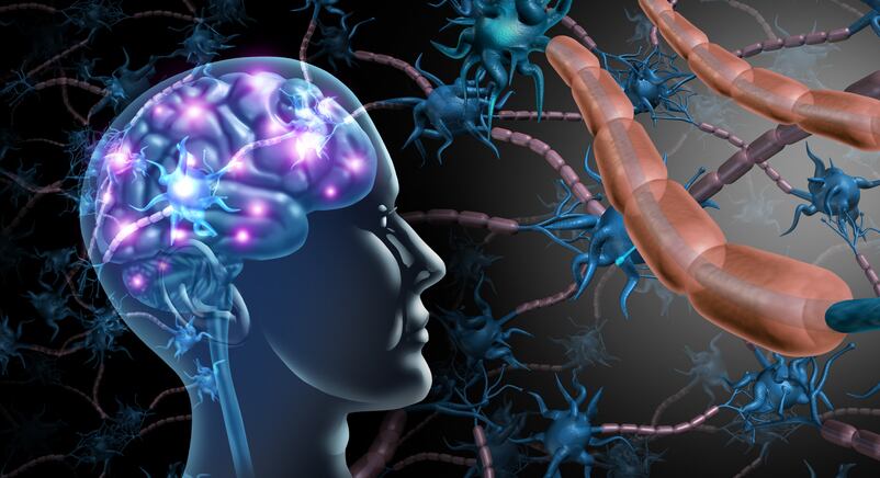Amino acid supplementation could restore memory in Alzheimer's patients