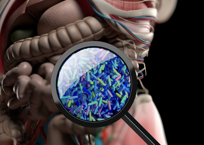 How the past affects your microbiome's future