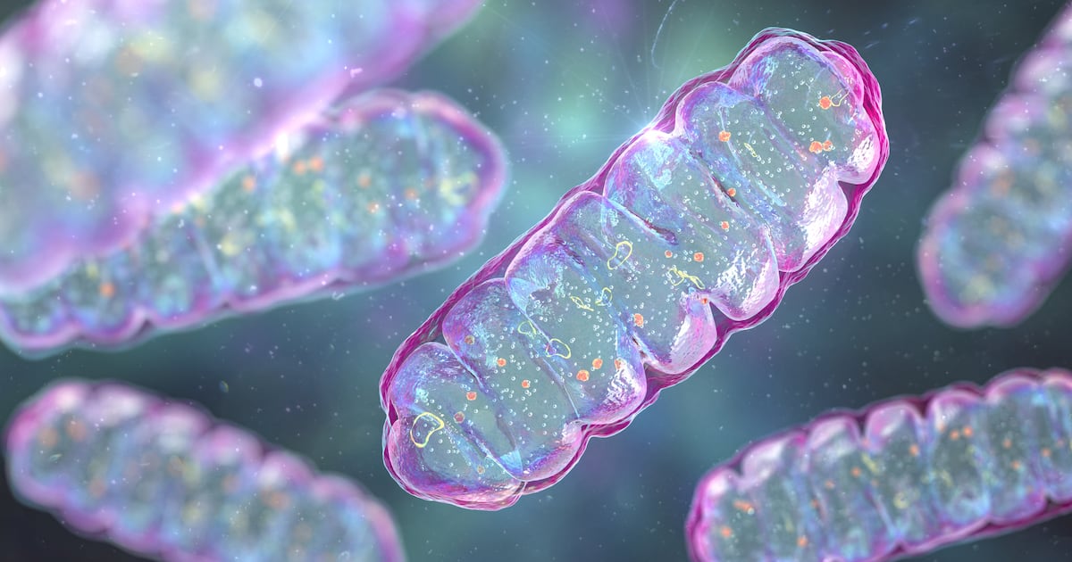 Nicotinamide riboside may improve muscle-specific marker of biological aging: Analysis