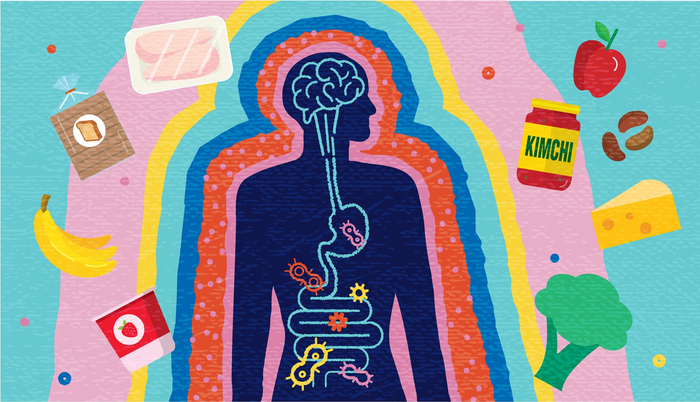 Vector illustration of a Brain Gut Connection abstract Health and Science concept with silhouette of human with brain and intestine surrounded by gut bacterium and prebiotic and probiotic foods. Lot's of texture. Includes vector eps and high resolution jpg.
