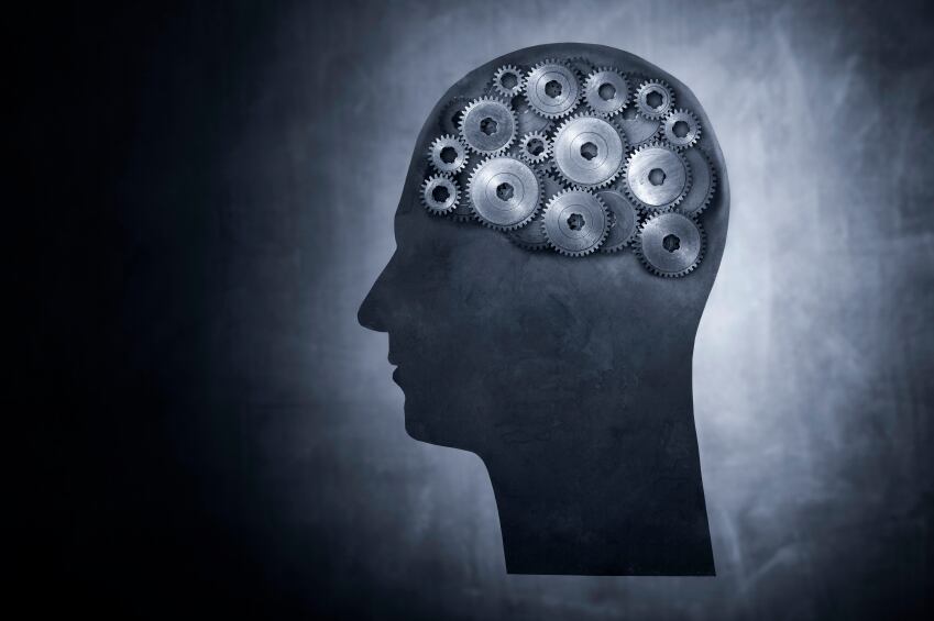 Brain-memory-C-stocksnapper.jpg