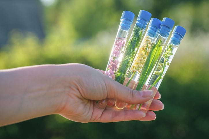 Review: Plants have 'not been fully harnessed’ in targeting inflammation-led skin ageing