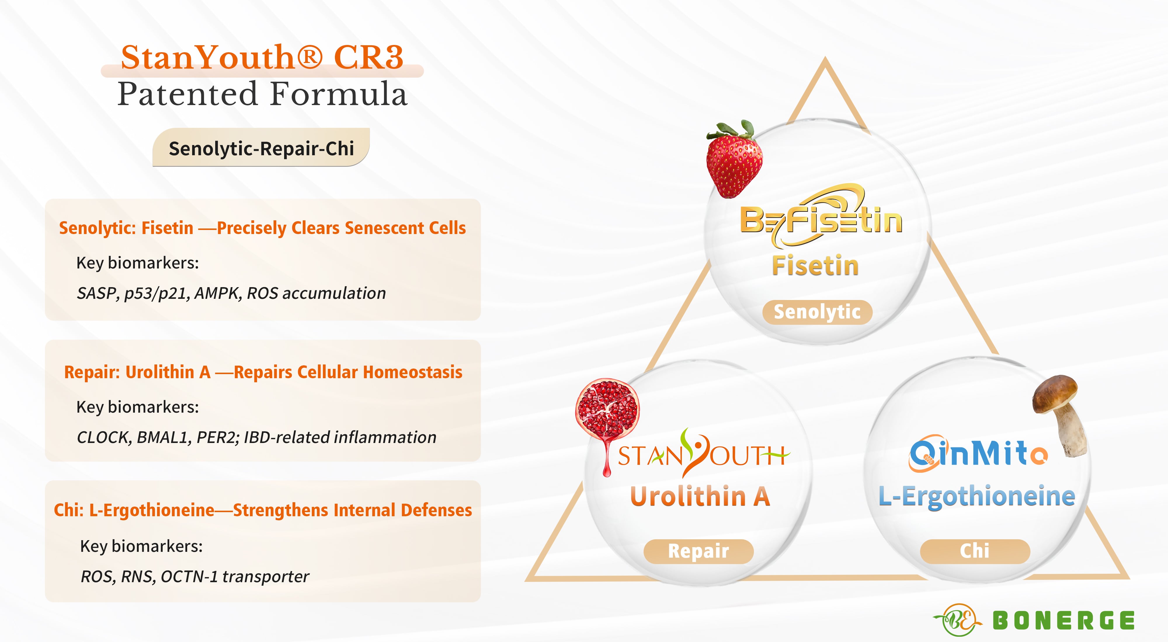 StanYouth CR3 Patented Formula