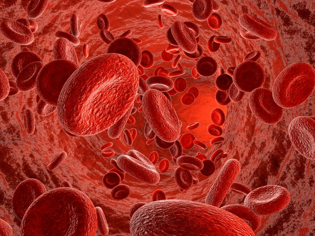 blood-flow.jpg