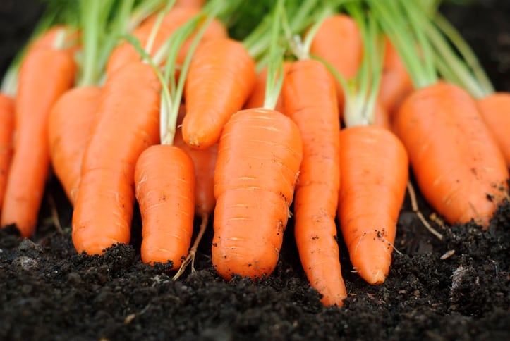 From compost to cakes: Carrot pulp flour gives healthy reformulation green credentials