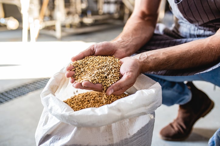 Puratos-launches-wheat-bran-fibre-ferment-in-light-of-new-gut-health-insights.jpg