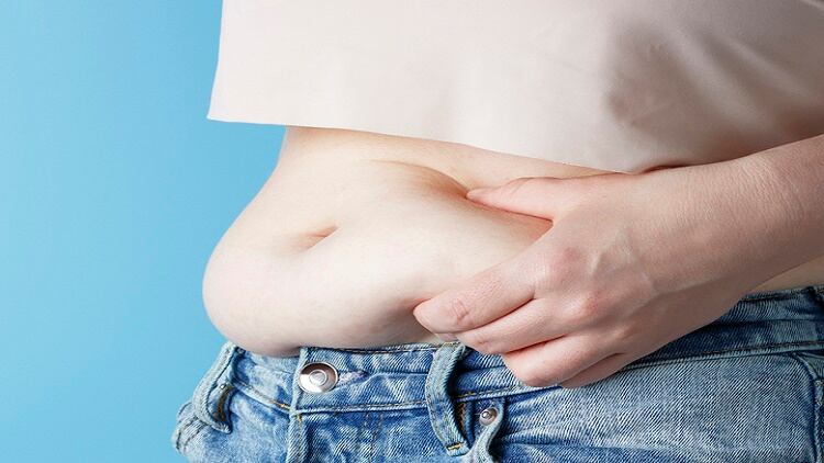 Three year plan: South Korea national agencies to explore marine biomaterials for body fat reduction