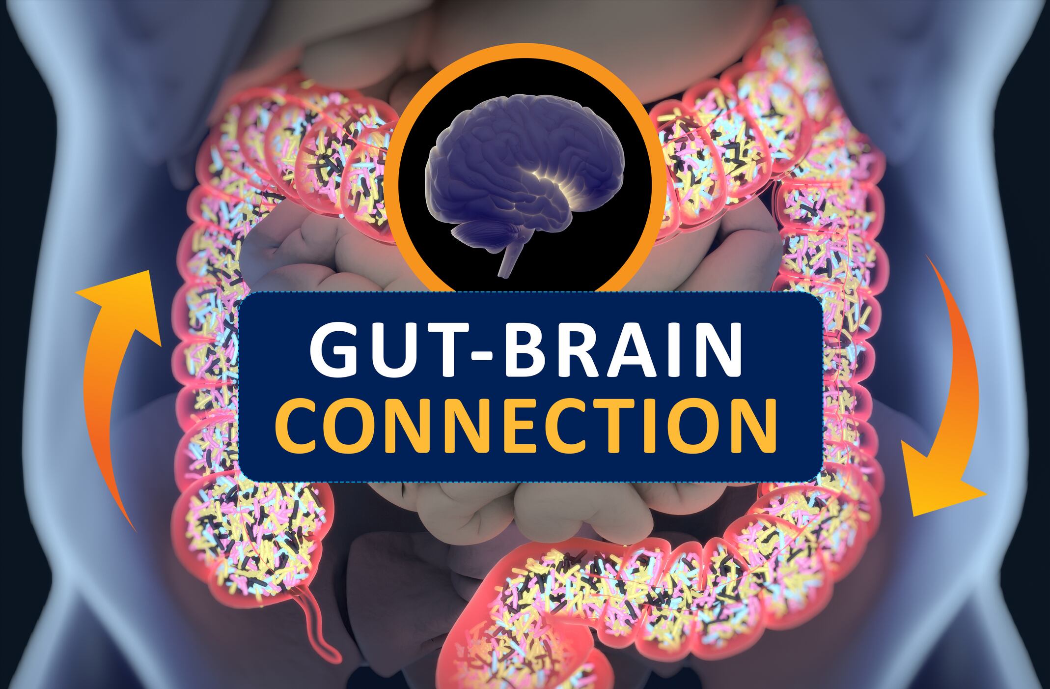 Seed Health partners with Axial Therapeutics for gut-brain program