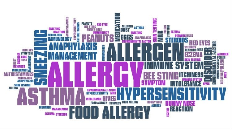 Boosting allergen information: FSANZ launches new portal with industry backing