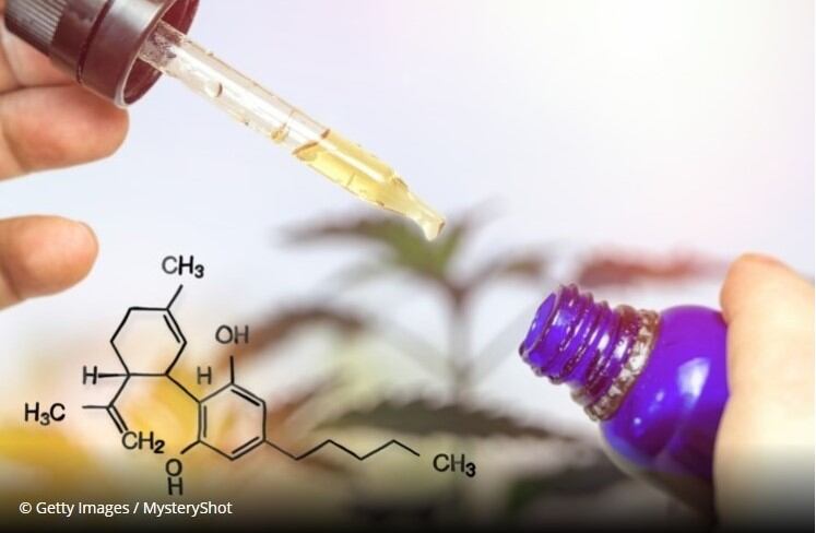 Treehouse-Biotech-submits-Novel-Foods-application-to-UK-authorities.jpg