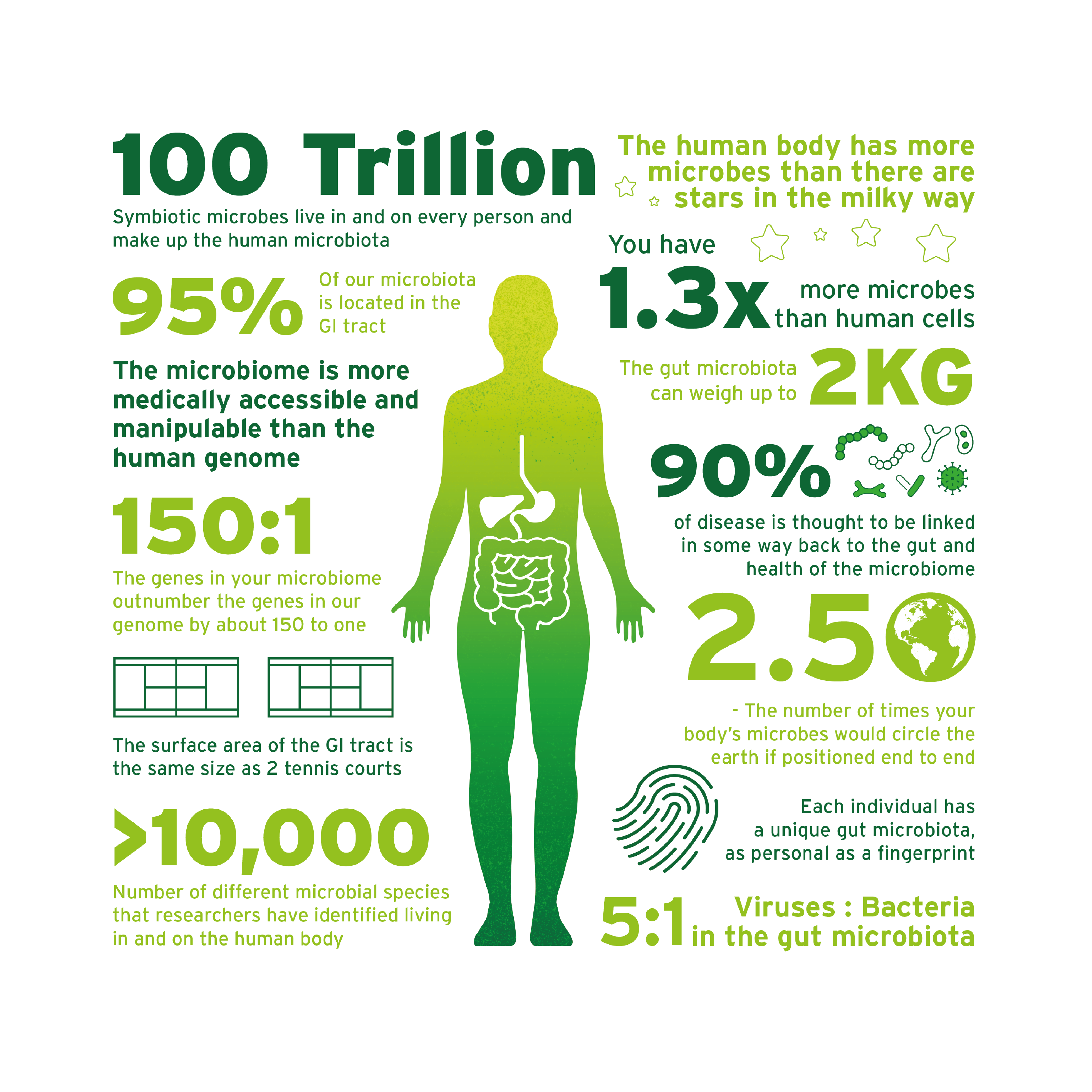 BIOTIS_TECHNICAL_ILLUSTRAIONS_MICROBIOTIA-1.png
