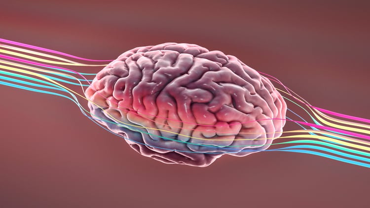 Keto diet may aid neurological diseases, researchers say