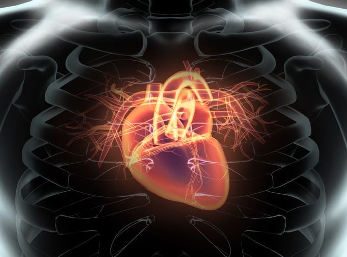 EU-team-identifies-gut-microbiome-signature-for-heart-disease.jpg