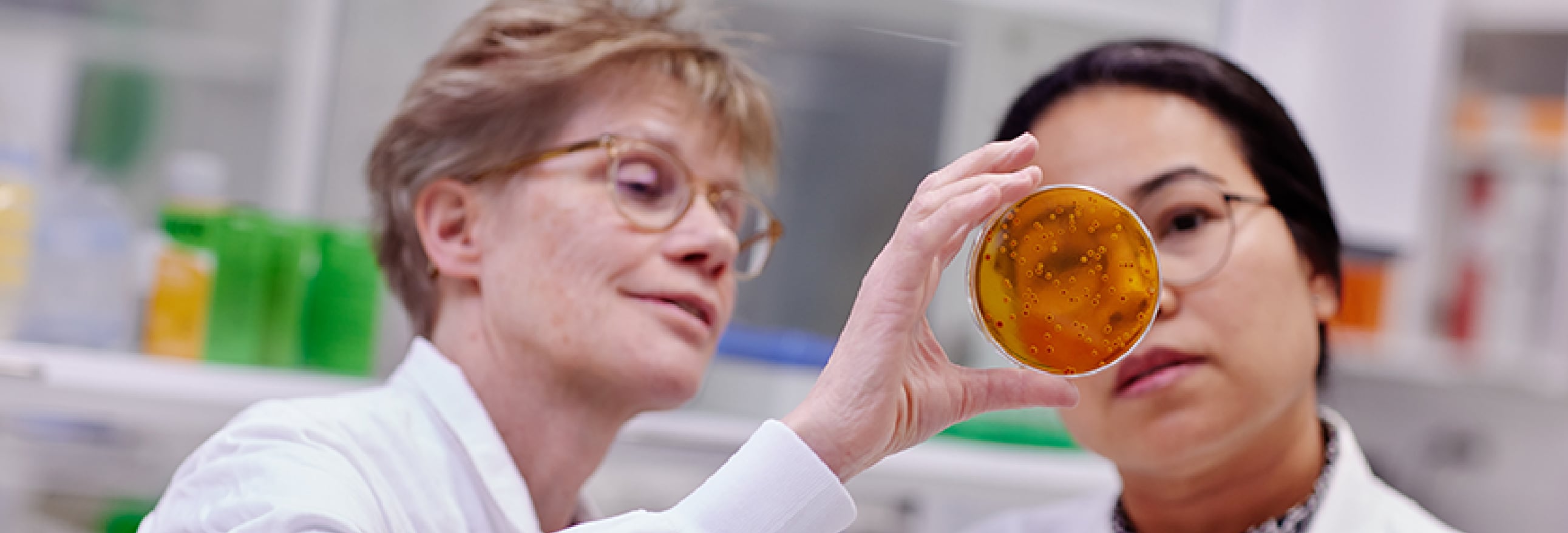 Two women analysing microbiome solutions
