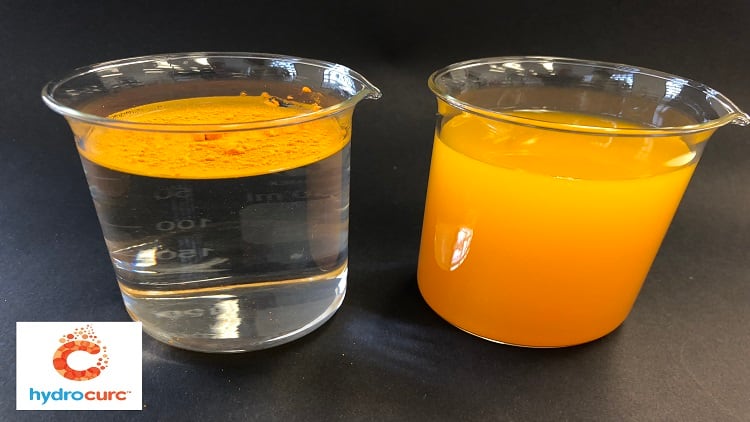 Cognitive Function Ingredient of the Year: HydroCurc®