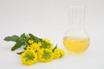 rapeseed-oil-istock-Sophia-Winters.jpg
